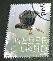 Nederland - NVPH - Xxxx - 2020 - Gebruikt - Used - Beleef De Natuur - Blauwe Kiekendief - Gebruikt