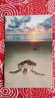 CPM TORTUE TURTLE LAY EGGS ON NAI YANG BEACH THAILAND BEAUX TIMBRES STAMPS - Tortugas