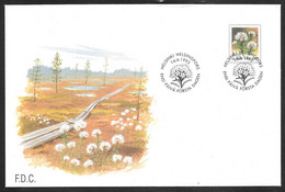 Finland - 1993 Flower Ledum Palustre FDC - Brieven En Documenten