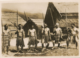 Real Photo Picture  Maori Warriors New Zealand . Nude Strong Men  With Lances . Combattants - Oceania