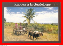 CPSM/gf  SAINT-BARTHELEMY (Guadeloupe). Kaboua, Charette De Guadeloupe. *5509 - Saint Barthelemy
