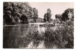 BAGNEAUX SUR LOING -- 1957--Le Loing.........timbre...cachet   SOUPPES SUR LOING............à Saisir - Bagneaux Sur Loing