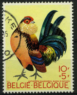 België 1513 - Neerhofdieren - Antwerpse Baardkriel - Animal De Basse-cour - Coq Nain Barbu D'Anvers - O - Used - Gebruikt