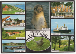 Groeten Van Vlieland - (Nederland/Holland) -  Nr. VLD 64 - Vlieland