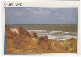 Vlieland - Duin, Branding - (Nederland/Holland) - 201 - Vlieland