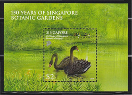 2009 SINGAPORE 2009 150 YEARS OF BOTANIC GARDEN (BLACK SWAN) BIRD AVES SOUVENIR SHEET STAMP MNH (**) - Singapore (1959-...)