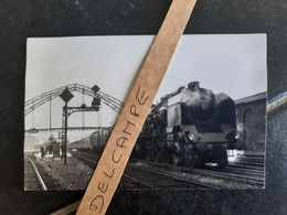 SNCF : Photo Originale M DAHLSTROM 9 X 14 Cm : Locomotive à Vapeur 231 G à CALAIS (62) En Avril 1967 - Treni