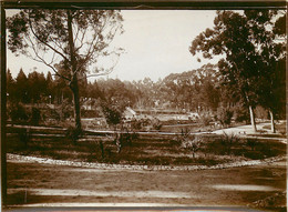 090921 - PHOTO ANCIENNE - AMERIQUE URUGUAY MONTEVIDEO Parc Du Prado - Uruguay