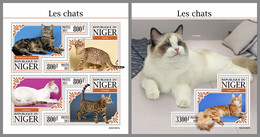 NIGER 2021 MNH Cats Katzen Chats M/S+S/S - OFFICIAL ISSUE - DHQ2137 - Domestic Cats