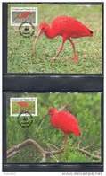 Trinidad. Lot De 4 Cartes Maximum. Ibis Rouge. WWF. 1990 - Trinité & Tobago (1962-...)