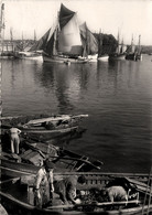 Concarneau * Les Bateaux De Pêche * Pêcheurs * Débarquement Des Sardines - Concarneau