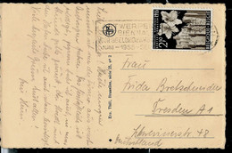CP( Anvers) Obl. ANTWERPEN  1955 Sur Floralies Gantoises N° 962 - Posta Rurale