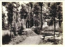 JAUCHE - Maison De Cure Et De Repos Charles De Hemptinne - Parc Et Promenade - Orp-Jauche