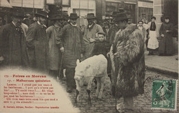 Foires En Morvan Malheureuses Spéculation - Fiere