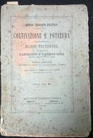 Coltivazione E Potatura Delle Principali Piante Fruttifere, M. E G. Roda, 1869 L - Libri Antichi