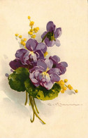 Catharina KLEIN * CPA Illustrateur * N°2 * Fleurs - Klein, Catharina