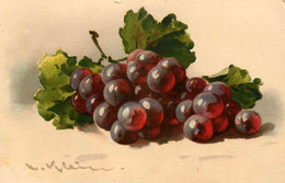 Catharina KLEIN * CPA Illustrateur * N°235 éditeur Jounok * La Grappe De Raisins * Raisin Fruit Fruits - Klein, Catharina