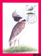 KYRGYZSTAN 2019 Nature Fauna Birds Bird Of Year Little Bustard Mi KEP129 Maxicard Maximum Card - Vögel
