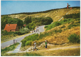 Het Eiland Vlieland - Bos, Duin En Vuurtoren - (Nederland/Holland) - Nr. VLD 8 - Phare/Lighthouse/Leuchtturm - Vlieland