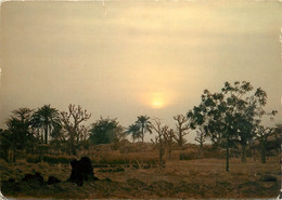 CPSM Nigeria-Harmattan Sunset    L918 - Nigeria