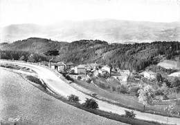 63-AMBERT- VUE DU VILLAGE DE POMMEYROL ET PANORAMA SUR LES MONTS DU FOREZ - Ambert