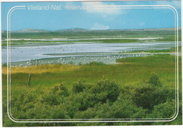 Vlieland - Nat. Reservaat - Vogels - (Nederland/Holland) - VLD 22 - Vlieland