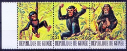 Common Chimpanzee, Monkeys, Guinea 1977 MNH No Gum, Wild Animals - Affen