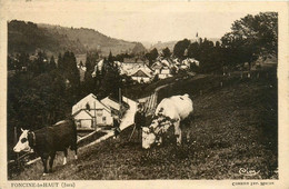 Foncine Le Haut * Vue Du Village * Ligne Chemin De Fer - Autres & Non Classés