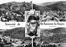 63-SAINT-SAUVEUR-LA-SAGNE - MULTIVUES - Aigueperse