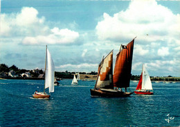 Ile Aux Moines * Bateau Sinagot Entre L'ile Et Port Blanc * Golfe Du Morbihan - Ile Aux Moines