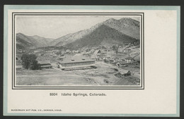 IDAHO SPRINGS COLORADO 8804 Windsor Hotel. Ed. Buedinger Art. Pub. Co. - Altri & Non Classificati