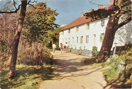 Mermaid Cottages, Herm -published By The Tenant Of Herm - Herm