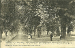 08 Ardennes MEZIERES Le Bois D Amour Arbres Plantés En 1722 Lire Le Récit Trés Intéressant - Autres & Non Classés