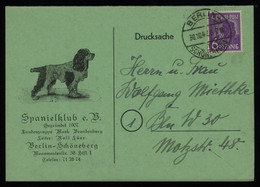 TREASURE HUNT [01473] Allied Occupation 1940s Ill. Postcard (Spaniel Cocker) Sent From Berlin Bearing 6 Pf Violet Stamp - Amerikaanse, Britse-en Russische Zone