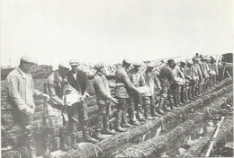 CPSM Besttorten Van Eeen Kraagstuk (13 Mei 1931) - Den Oever (& Afsluitdijk)