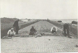 CPSM  Aanleg Van De Klinkerbestrating (23 Augustus 1932) - Den Oever (& Afsluitdijk)