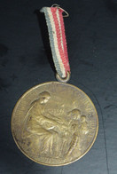 Médaille Journée  Secours National 1915 - 1914-18