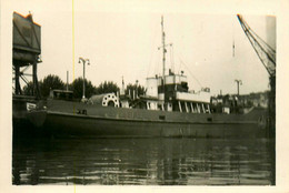 HMS CURZON N°1017 Dragueur * Carte Photo * Bateau Cargo Paquebot Commerce Marine Marchande ? Compagnie - Koopvaardij