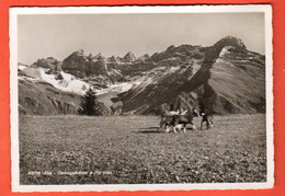 FM-23 Elm Glarus Tschingelhörner  Ziegen  Gitzi. Chèvres, Photo Frei  Rest. Bahnhof ELM. Gelaufen 1940 Grand Format - Elm