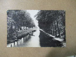 Dep 11 Salléles D'aude Le Canal Du Midi  ( écrite)  ' 9x14 ) Glacée Dentelée  Edit Sabathé - Salleles D'Aude