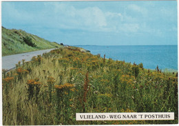 Vlieland - Weg Naar 't Posthuis - Natuur, Berm - (Nederland/Holland) - No. L 5593 - Vlieland