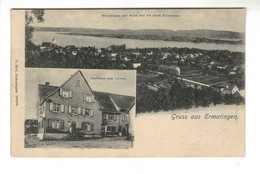 DG2298 - SCHWEIZ - TG - ERMATINGEN - BLICK Auf DIE INSEL REICHENAU Und GASTHAUS Zum LÖWEN - Ermatingen