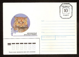 MOLDOVA●Cat●Prepaid Envelope - Hauskatzen