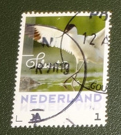 Nederland - NVPH - 3013 - Vogels - 2017 - Persoonlijk Gebruikt - Cancelled - Kluut - B-keus - Witte Vlekjes Boven - Timbres Personnalisés