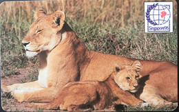 ZAMBIE  -  Phonecard -   Magnétique  -  Singapore'95  -  FAKE  -  Lion -  100zt - Zambia