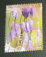 Nederland - NVPH - Xxxx - 2019 - Gebruikt - Used - Beleef De Natuur - Wilde Hyacint - Usati