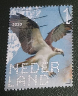 Nederland - NVPH - Xxxx - 2020 - Gebruikt - Used - Beleef De Natuur - Visarend - Used Stamps