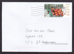 Netherlands: Cover, 2021, 1 Stamp + Tab, Berries, Fruit, Food, Plant (traces Of Use) - Covers & Documents