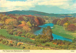 CPSM The Tweed From Netherbarns,Galashiels-Timbre   L921 - Berwickshire