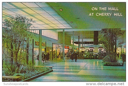 Enclosed Mall At The Cherry Hill Shopping Center Cherry Hill New Jersey - Cherry Hill